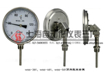 WSS-586萬向型雙金屬溫度計  上海儀表三廠?